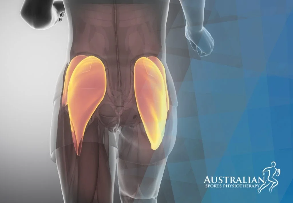 Preston Physiotherapy for Gluteus Medius and Minimus Tendon Tears | Australian Sports Physiotherapy